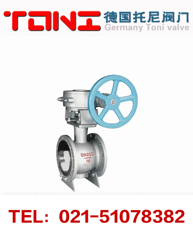 ����˫ƫ�İ���