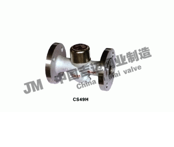CS49HȶʽԲʽYˮ